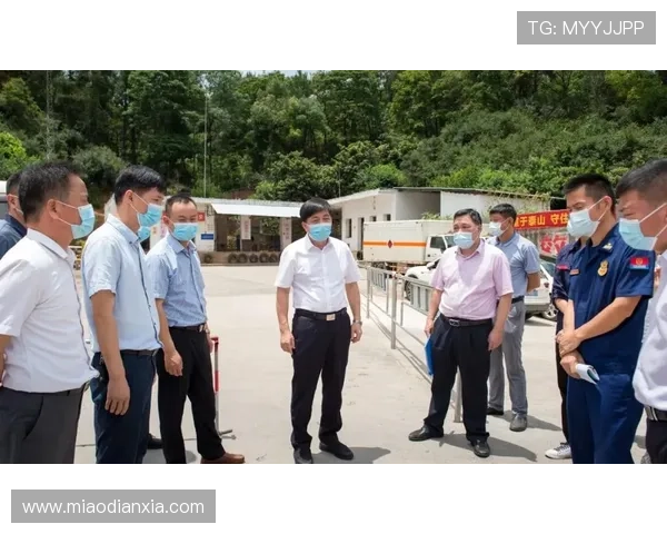 如何安全稳定地下载安装凯发体育备用平台官网确保账号信息安全与游戏顺畅体验